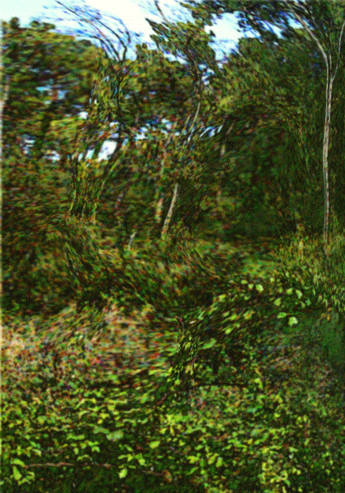 wpeD.gif (359215 Byte)